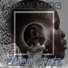 Jamaal Meeks - Earmancipate